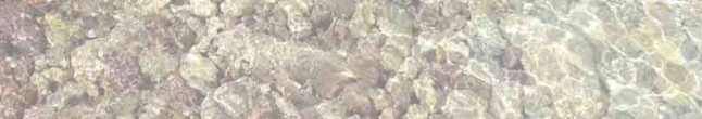 wasser-hell-2.jpg